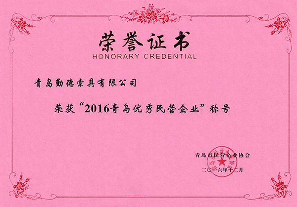 2016優(yōu)秀民營(yíng)企業(yè)